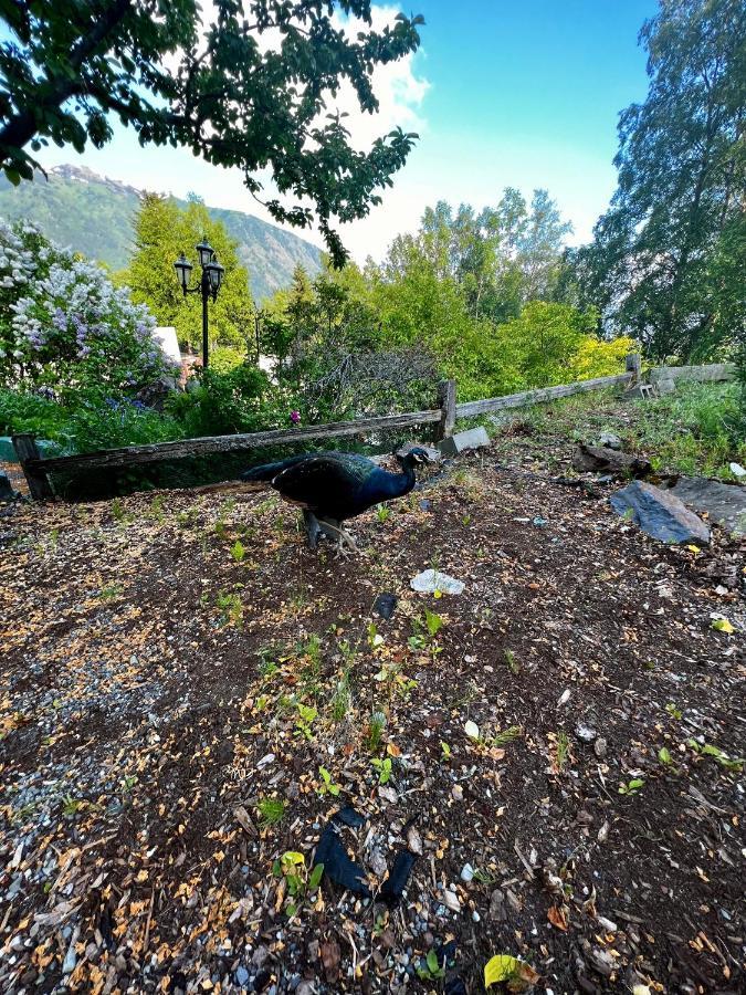 Indian Ak 25 Min To Anchorage & 25 Min To Girdwood Villa Exterior photo