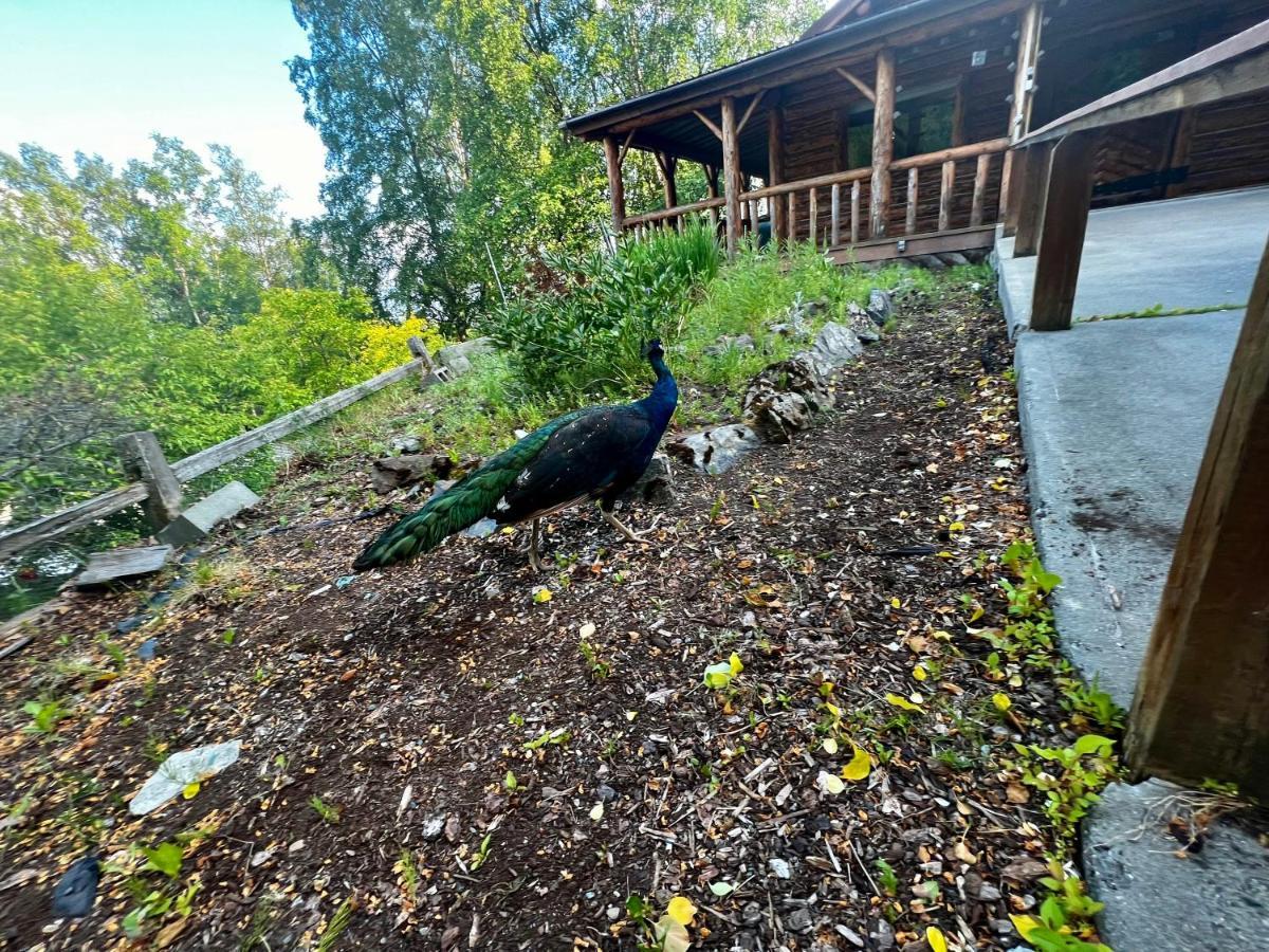 Indian Ak 25 Min To Anchorage & 25 Min To Girdwood Villa Exterior photo